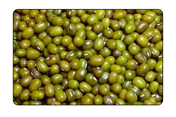 Green Mong