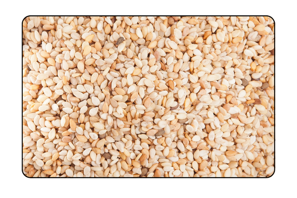 White Sesame Seeds Supplier Exporter in Vietnam